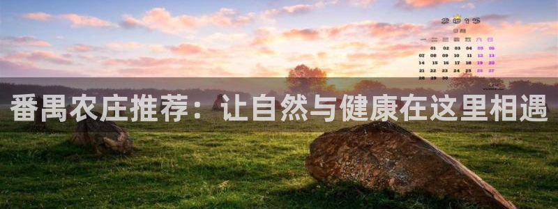 天顺娱乐拙70 48扣