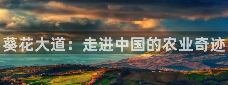 天顺娱乐卮3300
