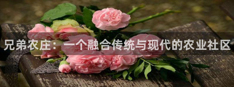 天顺娱乐平台开户