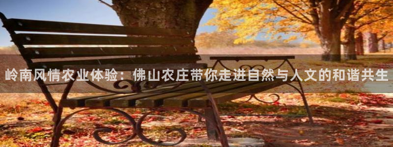 天顺娱乐注册注意 79270k