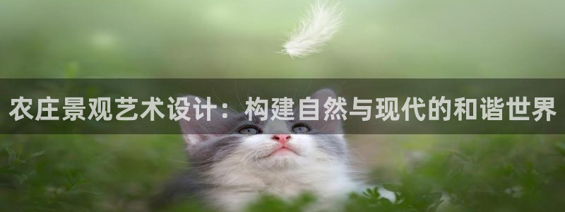 天顺娱乐q33300