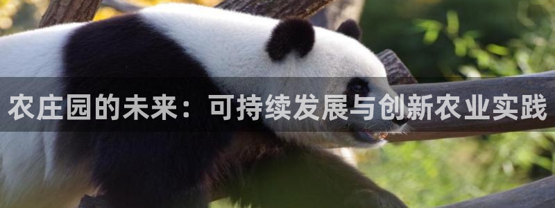 天顺娱乐韩7O667