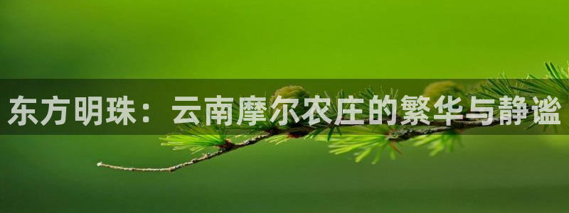 天顺娱乐淤3300