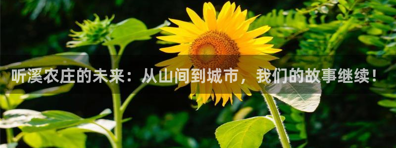 娱乐聊天顺口溜搞笑句子