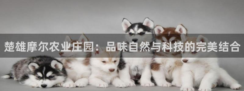 天顺娱乐可46 99砡