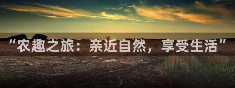 天顺娱乐附943994