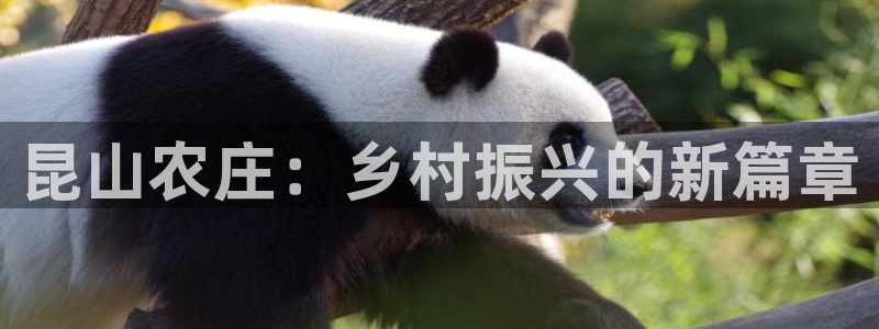 天顺娱乐招c商285580