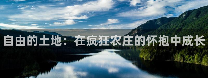 天顺娱乐分943994