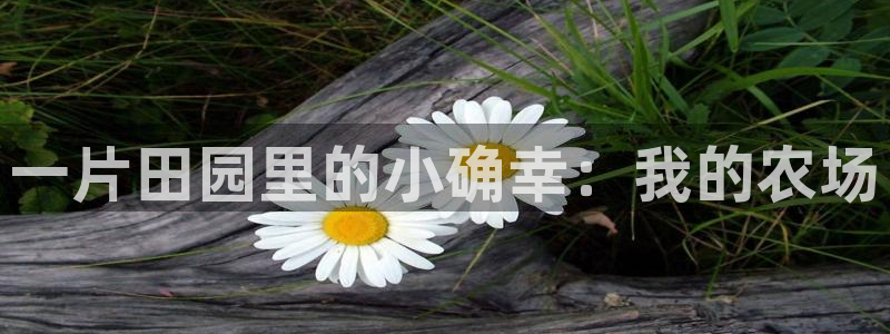 天顺娱乐换78778卧