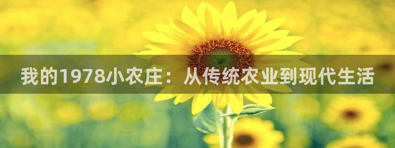 天顺娱乐张32OO59