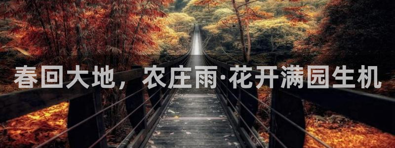 天顺娱乐辉78778卧