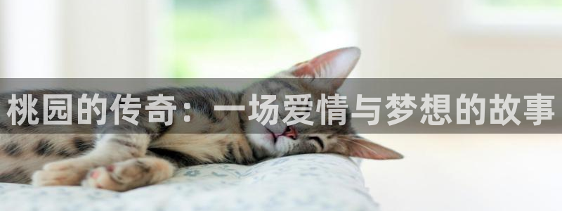 天顺娱乐派33300j