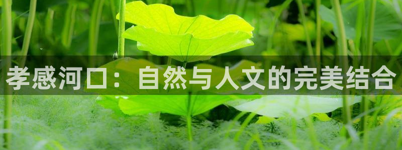 天顺娱乐夏33300j