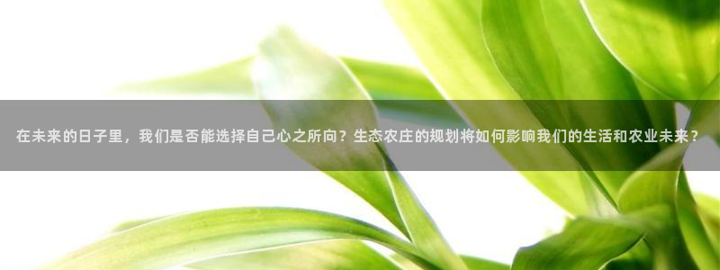 天顺娱乐总代理是谁啊