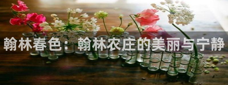 天顺娱乐 c实155744力c