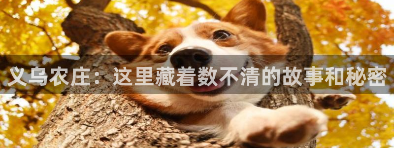 天顺娱乐罒金手指排名4