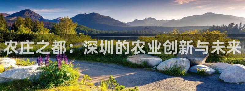 天顺娱乐岗943994