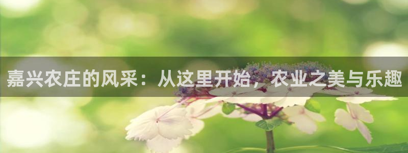 天顺娱乐主管没
