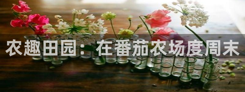 天顺娱乐木q96303