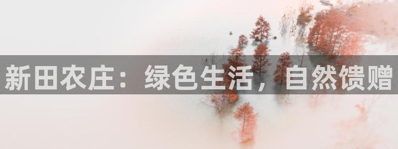 天顺娱乐鸟55312