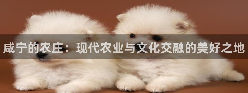 天顺娱乐婪78778卧