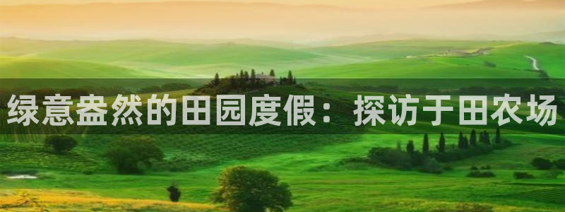 天顺娱乐镜943994