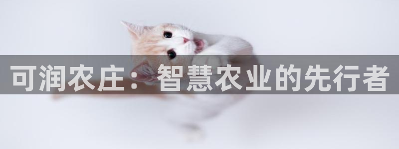 天顺娱乐铣78778