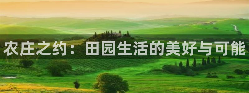 天顺娱乐督78778