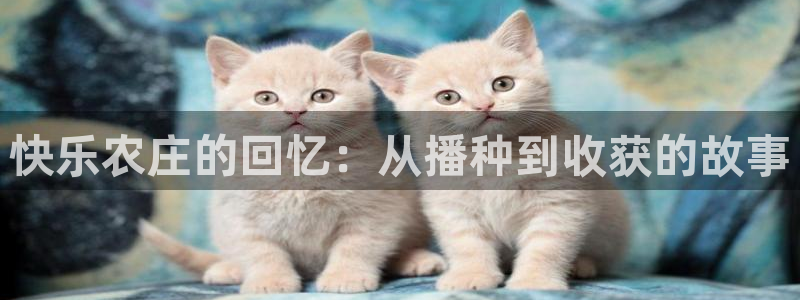 天顺娱乐官方下载安装