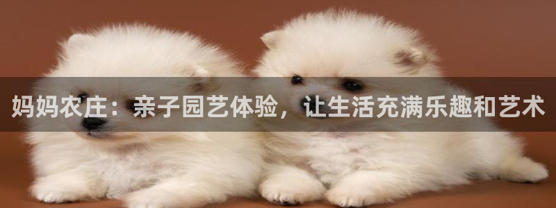 天顺娱乐负责人风邙pg29999