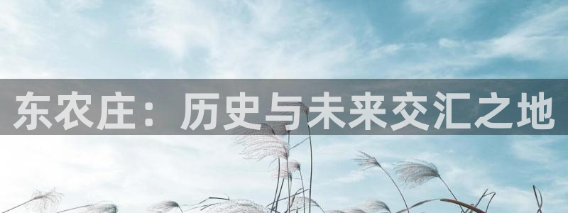 天顺娱乐主管年收入