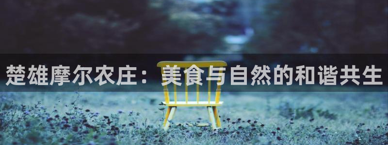 天顺娱乐平台怎么样