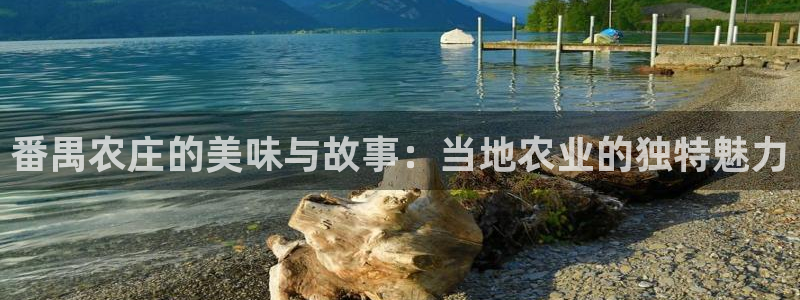 天顺娱乐负责人饣籍p29999