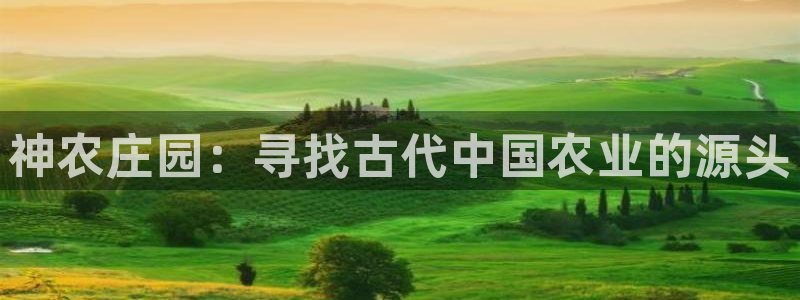 天顺娱乐拖72 559