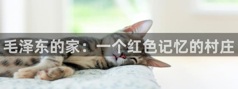 天顺娱乐 总c管w99454