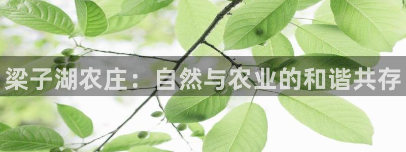 天顺娱乐辰55312