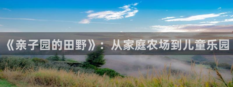 天顺娱乐历和p官29999