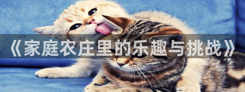 汝城天顺娱乐