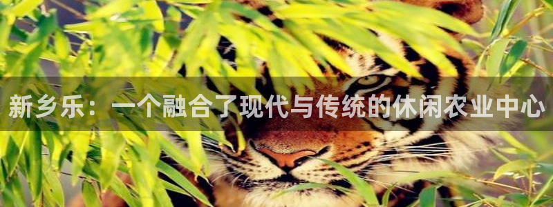 天顺娱乐陶18 888