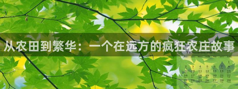 天顺娱乐q徽53339