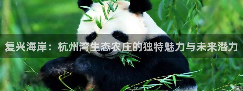 天顺娱乐主管年薪多少钱