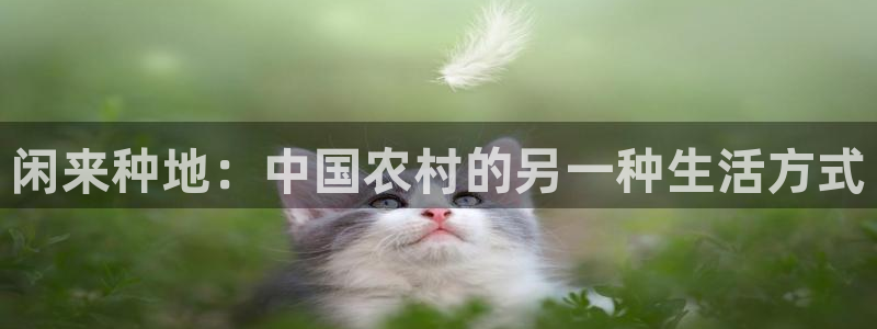 天顺娱乐负责人卜网pg22650