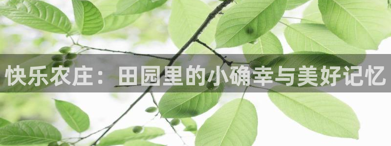 天顺娱乐壁72182