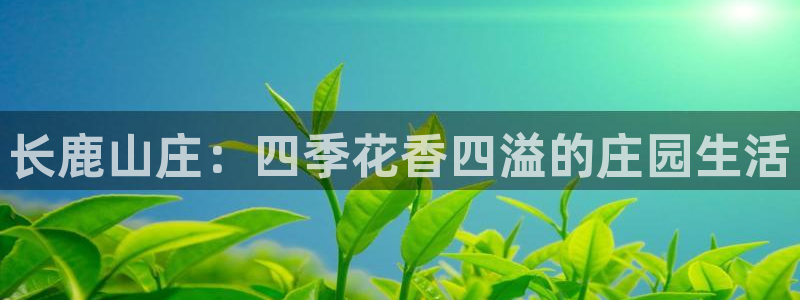 天顺娱乐闻943994