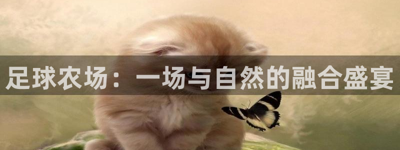 天顺娱乐53551主管