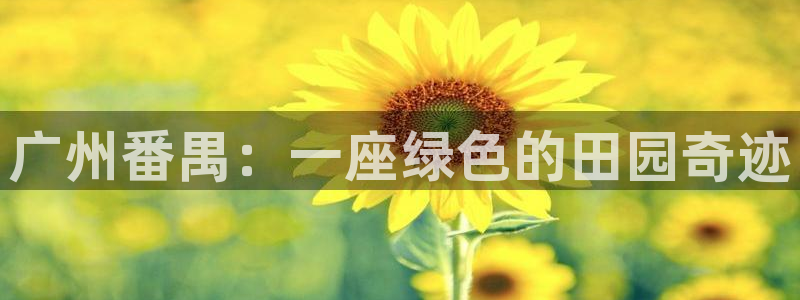 天顺娱乐v信345177信誉好