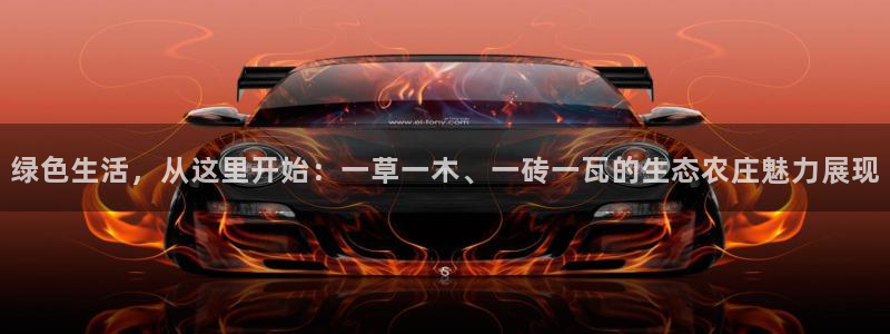 天顺娱乐计划软件