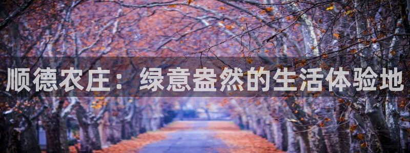 天顺娱乐负责人歹可到p29999