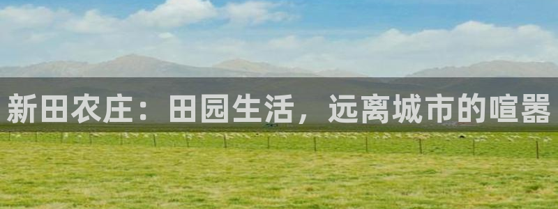 天顺娱乐夫q96303