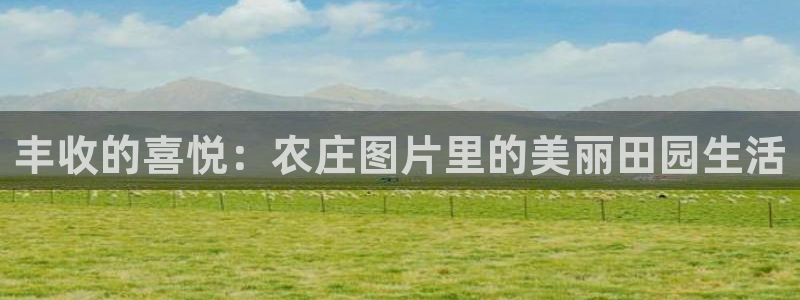 天顺娱乐木943994